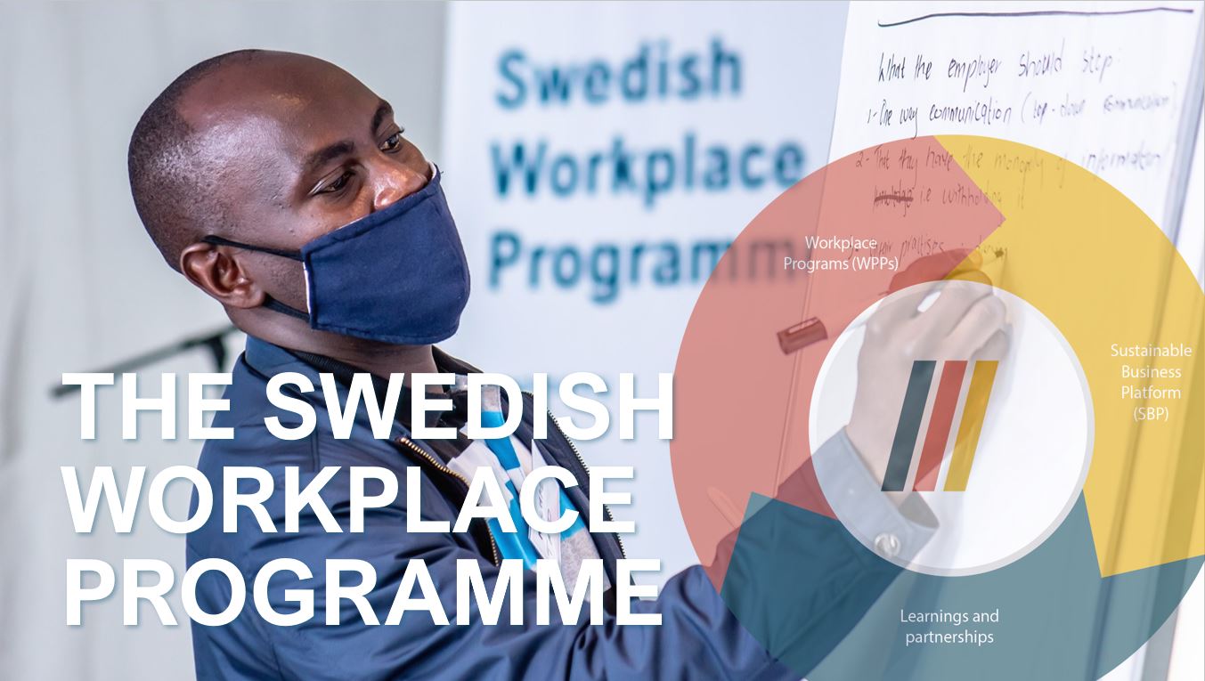 Swedish Workplace Programme | NIR
